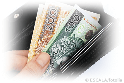 Portfel z pieniędzmi w polskiej walucie w środku 