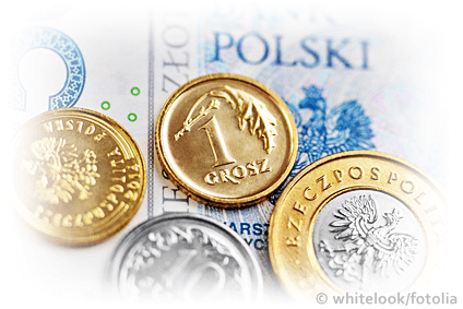 Polskie pieniądze - złotówki, banknot i monety